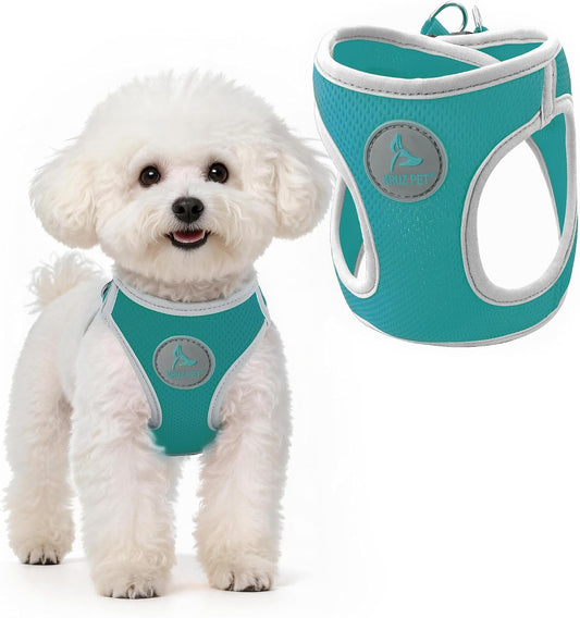 Kruz Dog Harness (Chest 16"-17", Weight 10–15 Lbs) Athletica Adjustable Heavy Duty No Choke Puppy Vest for Small Dogs Lightweight Air Mesh, Reflective, Puppy Essentials – Turquoise, Medium